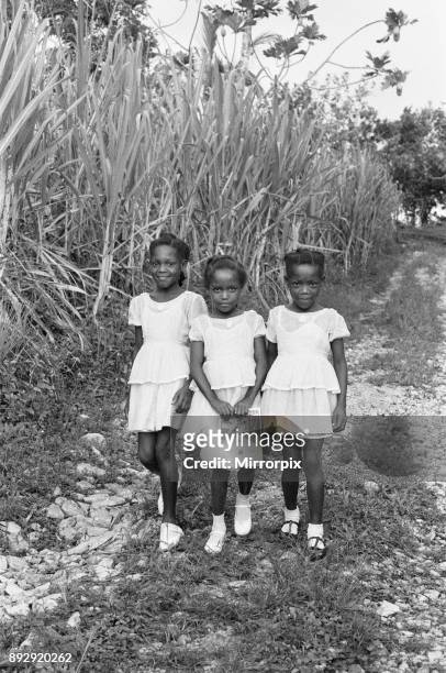 Three Maroon girls seen here returning from school in St Elizabeth, Jamaica 15th August 1962.