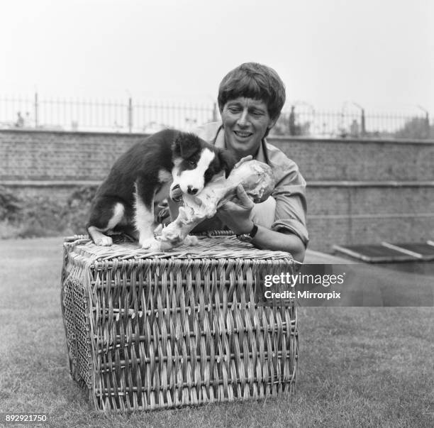 Blue Peter presenter John Noakes, seen here with the programmes new border collie puppy. The viewers will be invited to suggest a name when the new...