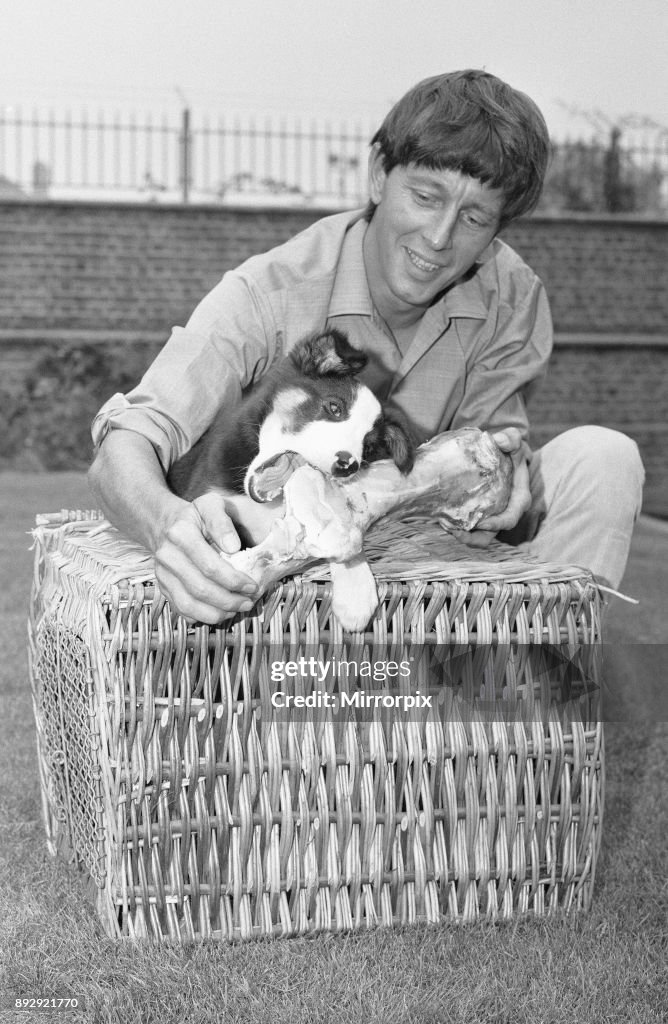 Blue Peter Presenter John Noakes Seen Here With The Programmes New blue-peter-presenter-john-noakes-seen-here-with-the-programmes-new