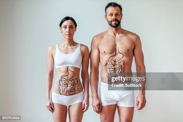 vriendelijke maag bacteriën concept - intestines stockfoto's en -beelden