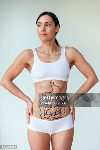 traccia digestiva sana - stomaco foto e immagini stock