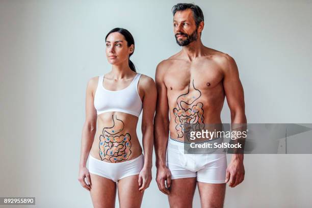 männliche und weibliche verdauungssystem konzept - male stomach stock-fotos und bilder