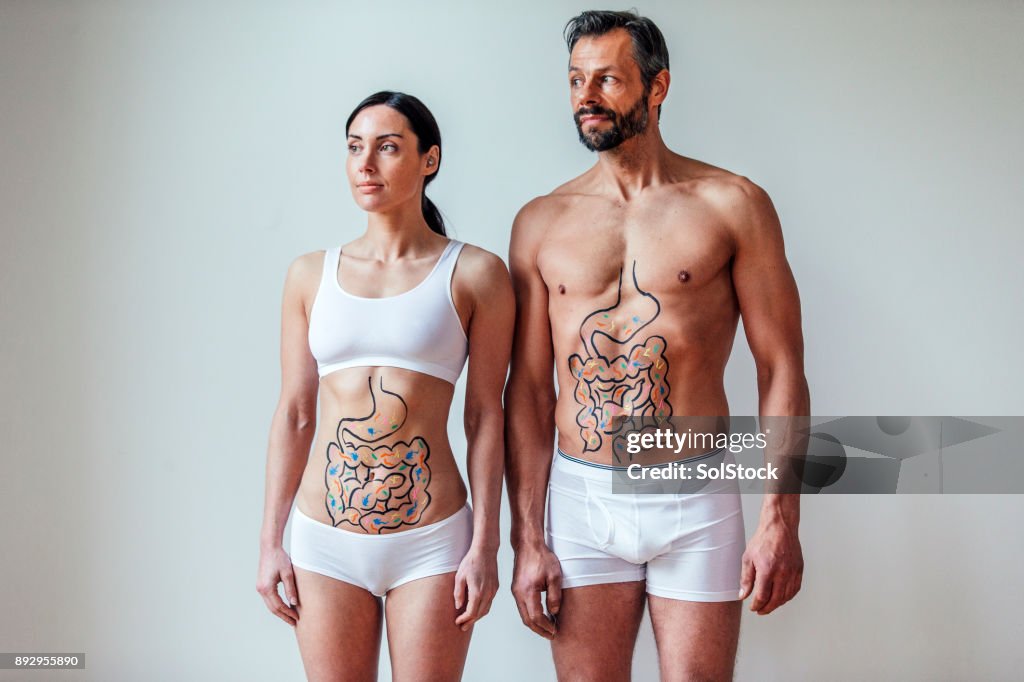 Male and Female Digestive System Concept