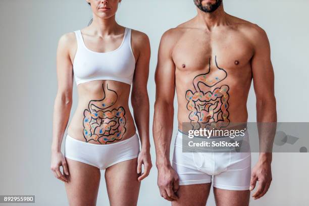 mannelijke en vrouwelijke intestinale gezondheid concept - human intestine stockfoto's en -beelden