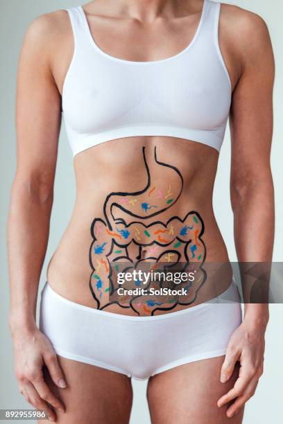 optimale gezondheid - darmen stockfoto's en -beelden