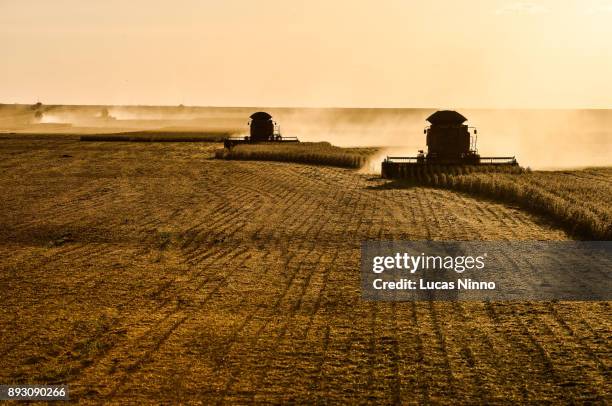 soybean harvest at sunset - landwirtschaftliche maschine stock-fotos und bilder
