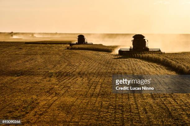 soybean harvest at sunset - soybean harvest - fotografias e filmes do acervo