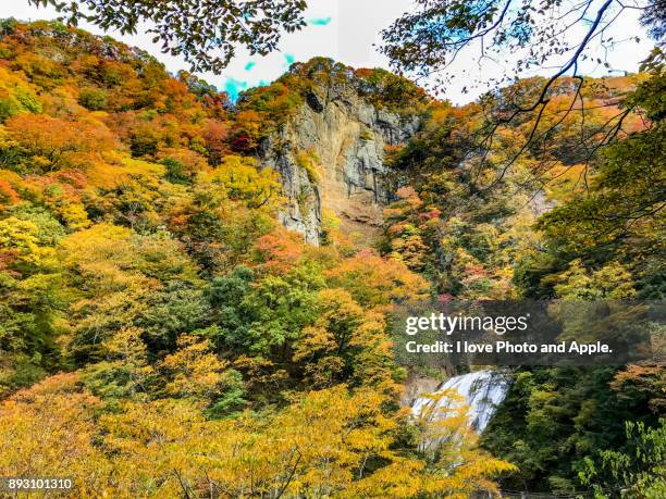 autumn colours - daigo ibaraki stock pictures, royalty-free photos & images