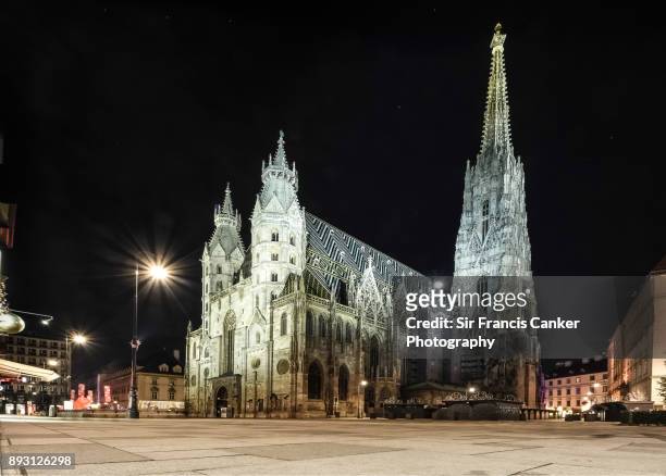vienna cathedral illuminated at night with no people in austria - st stephens cathedral vienna imagens e fotografias de stock