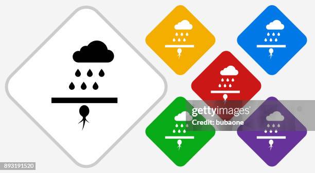 sprouting seed color diamond vector icon - purple sprouting stock illustrations
