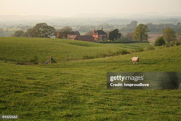 1,512 Cheshire Landscape Stock Photos, High-Res Pictures, and Images ...