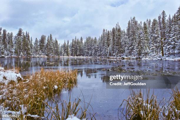 cubierto de nieve de los árboles del lago nymph - jeff goulden fotografías e imágenes de stock