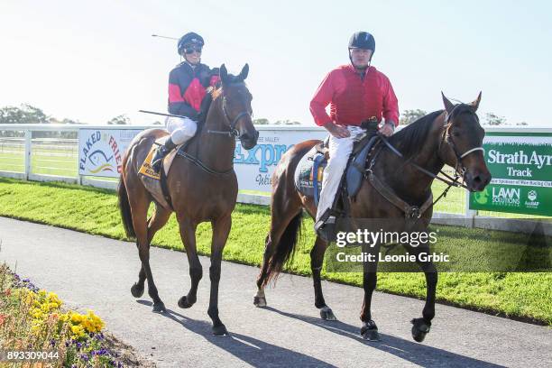 Kapara ridden by Katelyn Mallyon returns after winning the LV Express BM58 Handicap at Moe Racecourse on December 15, 2017 in Moe, Australia.