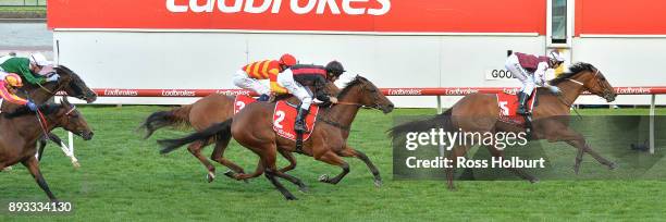 Twitchy Frank ridden by Ethan Brown wins the MMR Creative Agency Handicap at Moonee Valley Racecourse on December 15, 2017 in Moonee Ponds, Australia.