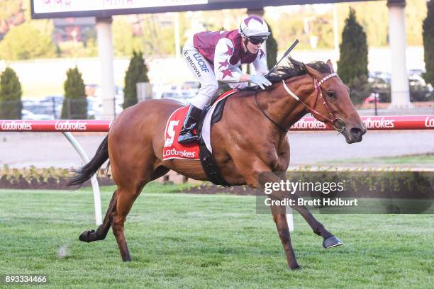 Twitchy Frank ridden by Ethan Brown wins the MMR Creative Agency Handicap at Moonee Valley Racecourse on December 15, 2017 in Moonee Ponds, Australia.