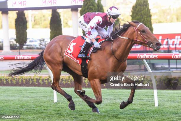 Twitchy Frank ridden by Ethan Brown wins the MMR Creative Agency Handicap at Moonee Valley Racecourse on December 15, 2017 in Moonee Ponds, Australia.