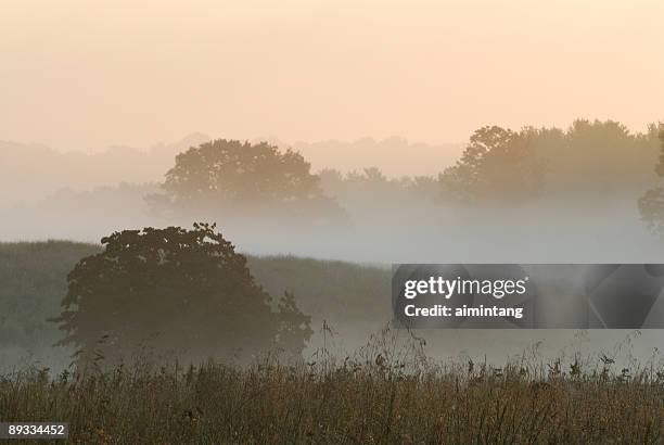 twilight at valley forge national park - valley forge stockfoto's en -beelden