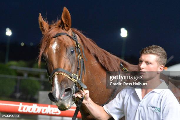 Pirapala after winning the IGA Supermarkets Handicap at Moonee Valley Racecourse on December 15, 2017 in Moonee Ponds, Australia.