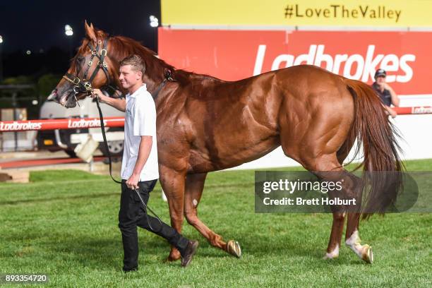 Pirapala after winning the IGA Supermarkets Handicap at Moonee Valley Racecourse on December 15, 2017 in Moonee Ponds, Australia.