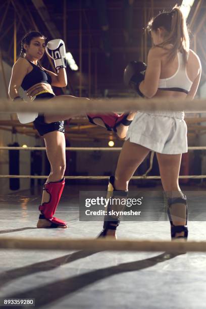 Boxen Rondes Boxing Rounds Photos and Premium High Res Pictures - Getty Images