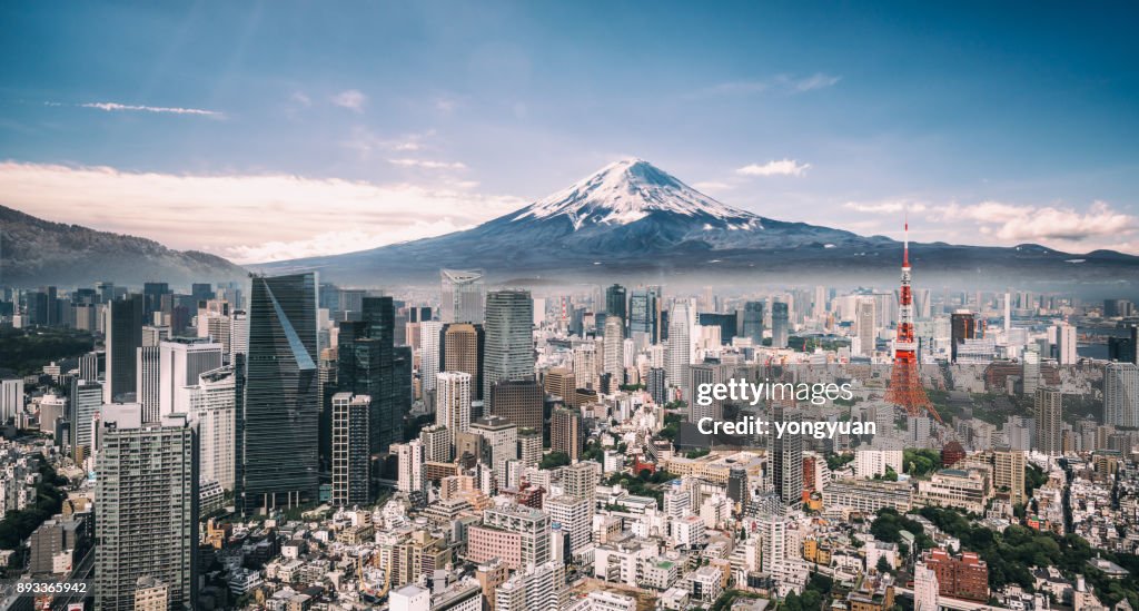 富士山と東京のスカイライン