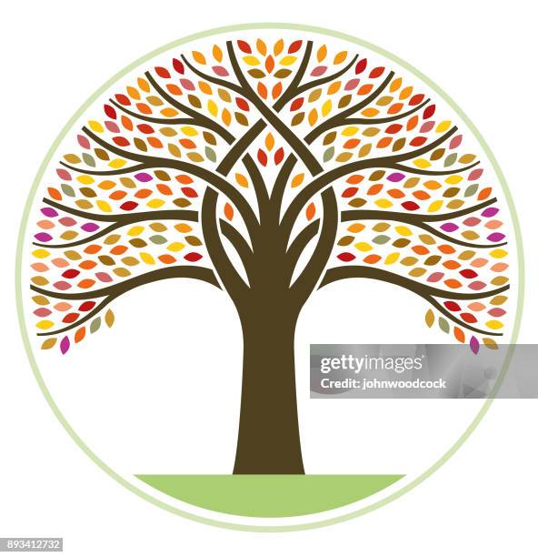 big round fall tree illustration - tree ring stock illustrations