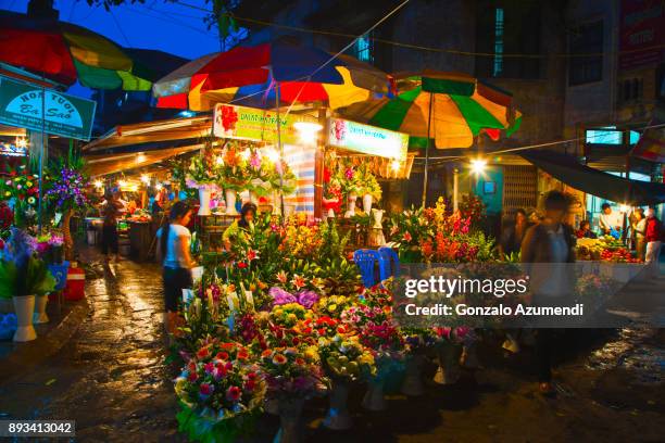 hanoi city in vietnam - hanoi stock pictures, royalty-free photos & images