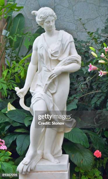 ancient statue in the garden - greek statue stockfoto's en -beelden