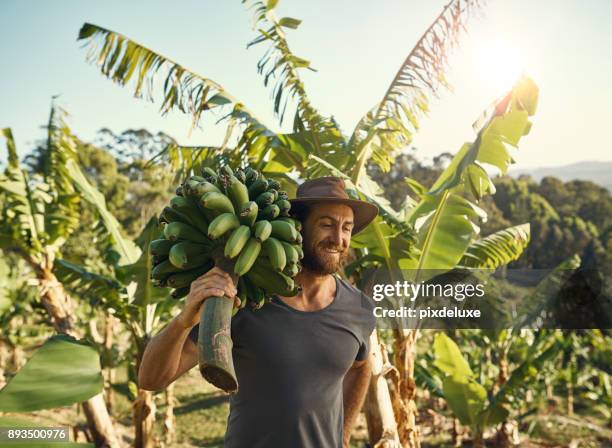 人口増加を餌に興奮 - banana ストックフォトと画像