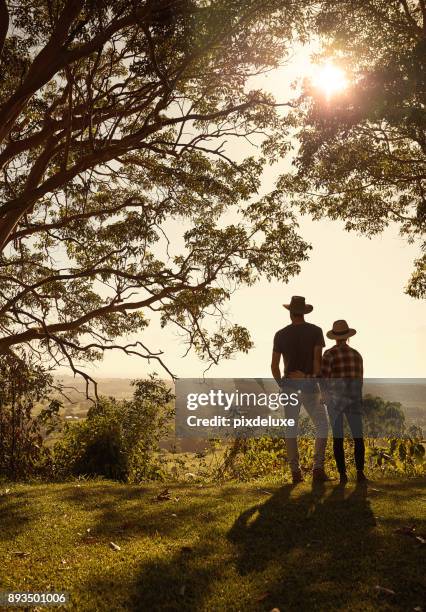 farm life offers it’s own kind of peace and quiet - bush stock pictures, royalty-free photos & images