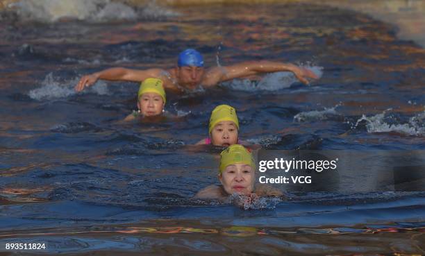 Winter swimming enthusiasts swim in the cold waters of Beiling Park on December 15, 2017 in Shengyang, Liaoning Province of China.