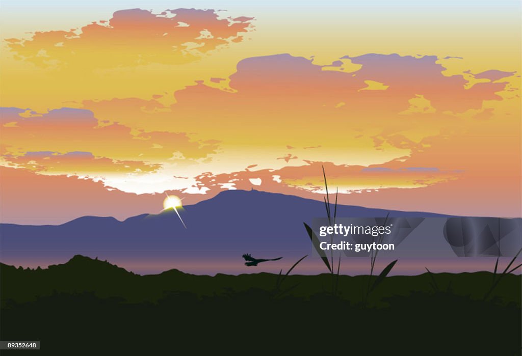 Sunset