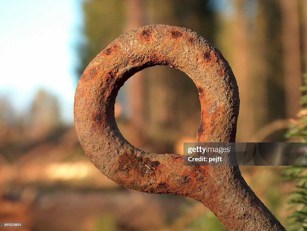 Focused on the iron ring