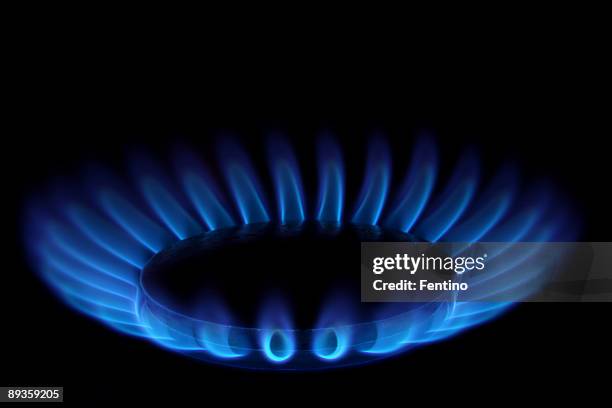 gas stove (blaue flammen auf schwarz-ring of fire - ring flames stock-fotos und bilder