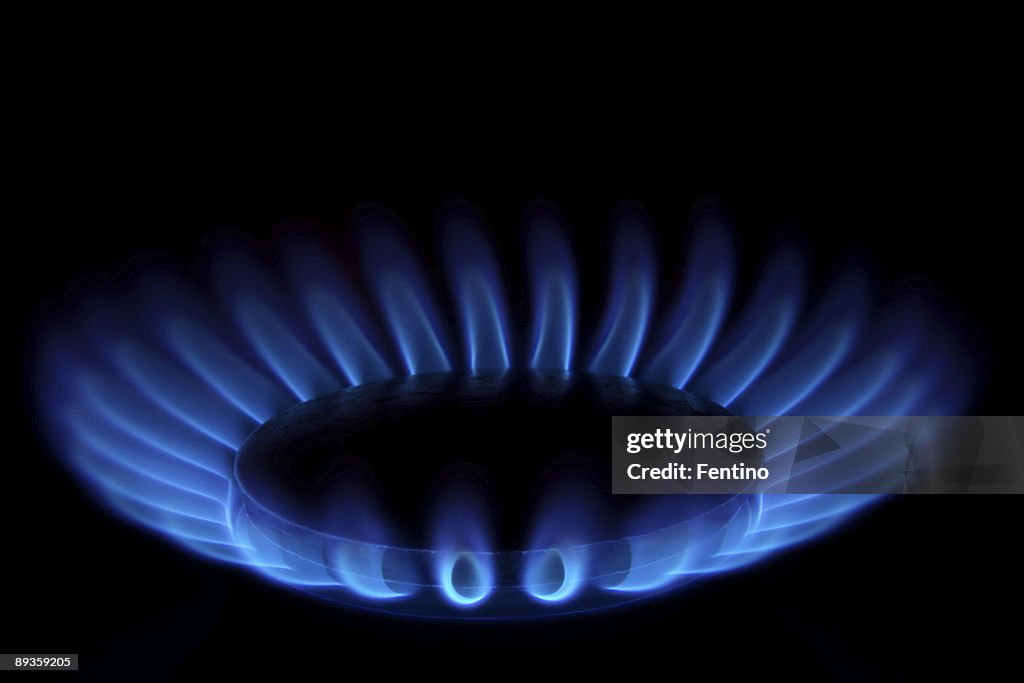 Gas Stove (Blue Flames on Black - Ring of Fire)