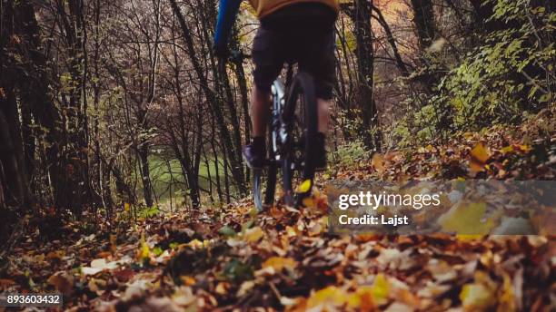 Man Log Riding 808 Log Training Stock Photos, High-Res Pictures, and Images - Getty Images