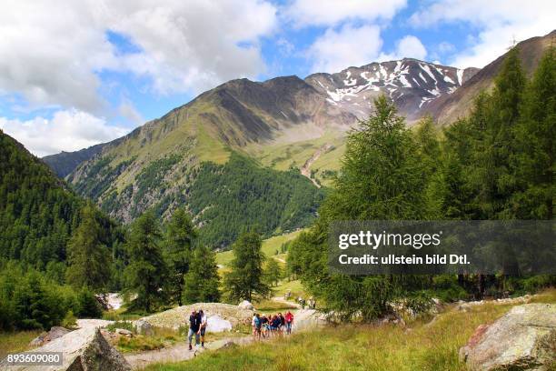 Pfossental Herzen des Naturpark Texel Schnals im Schnalstal Urlaub Sommer Italien Italienische Republik; italienisch Repubblica Italiana Italia /...