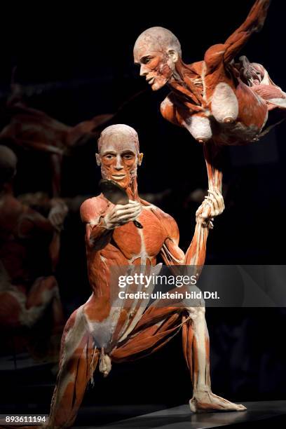 Deutschland/Sachsen/Dresden, , Koerperwelten-Ausstellung in Dresden; Ab 24. Januar praesentieren der Plastinator Dr. Gunther von Hagens und Kuratorin...