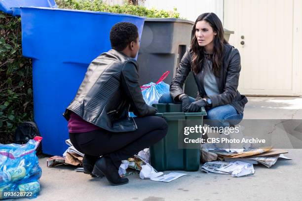 Under Pressure" -- Pictured: Andrea Bordeaux and Daniela Ruah . After napalm is detected at a crime scene, the NCIS team investigates the sole...