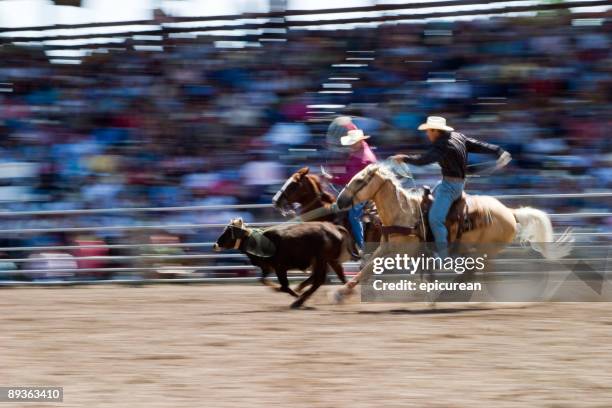 the wild west! - rodeo stockfoto's en -beelden