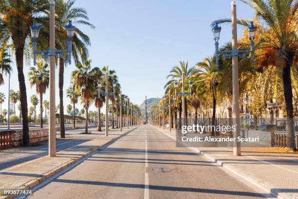 empty street in barcelona, catalonia, spain - passeig de colom stock-fotos und bilder