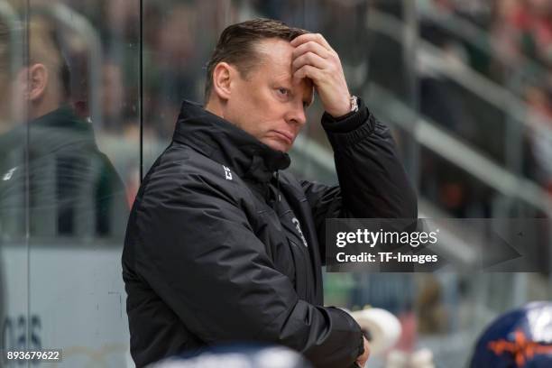 Head coach Mike Pellegrims of Duesseldorfer EG gestures during the DEL match between Augsburger Panther and Duesseldorfer EG on December 15, 2017 in...