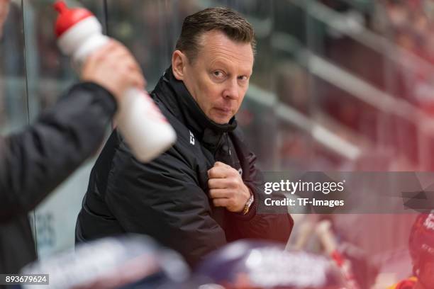 Head coach Mike Pellegrims of Duesseldorfer EG looks on during the DEL match between Augsburger Panther and Duesseldorfer EG on December 15, 2017 in...