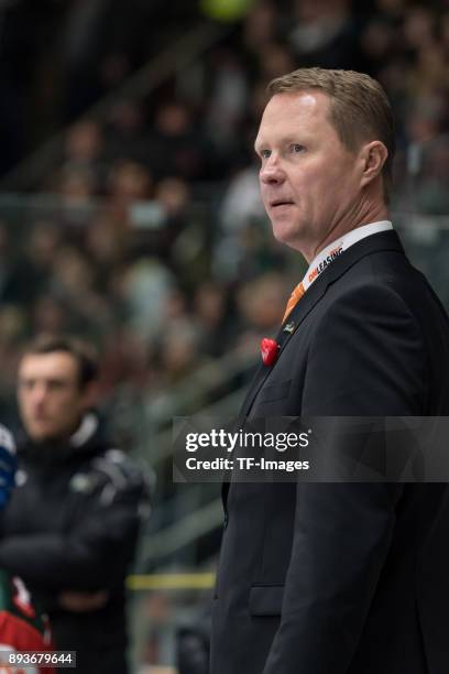 Head coach Mike Stewart of Augsburger Panther looks on during the DEL match between Augsburger Panther and Duesseldorfer EG on December 15, 2017 in...