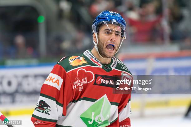 Mark Cundari of Augsburger Panther celebrates his team`s goal during the DEL match between Augsburger Panther and Duesseldorfer EG on December 15,...