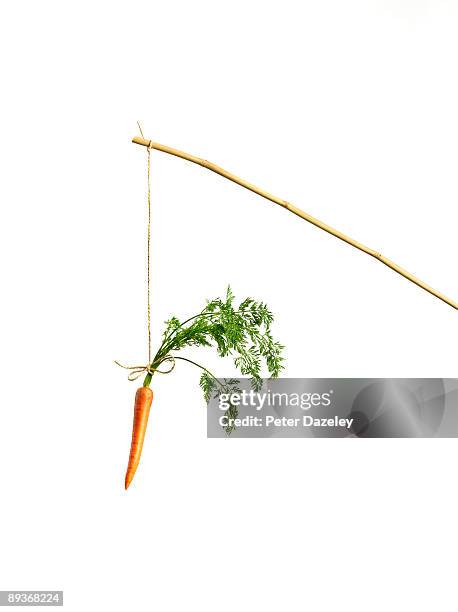 carrot on stick against white background. - anreiz stock-fotos und bilder