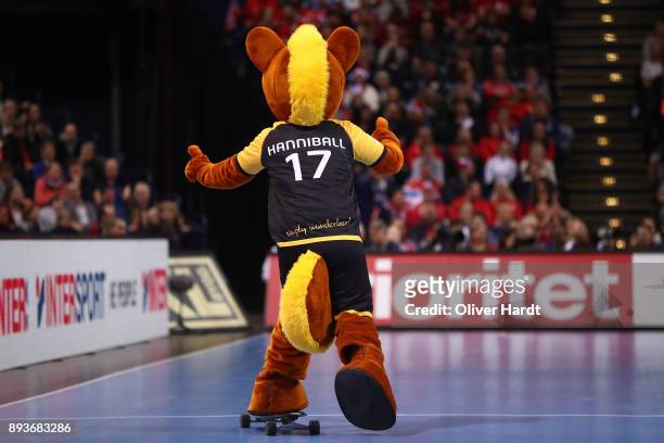 General view during the IHF Women's Handball World Championship Semi Final match between Sweden and France at Barclaycard Arena on December 15, 2017...