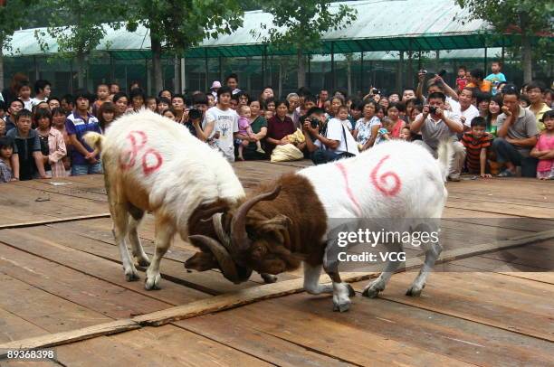 Linquan Linquan Photos and Premium High Res Pictures - Getty Images