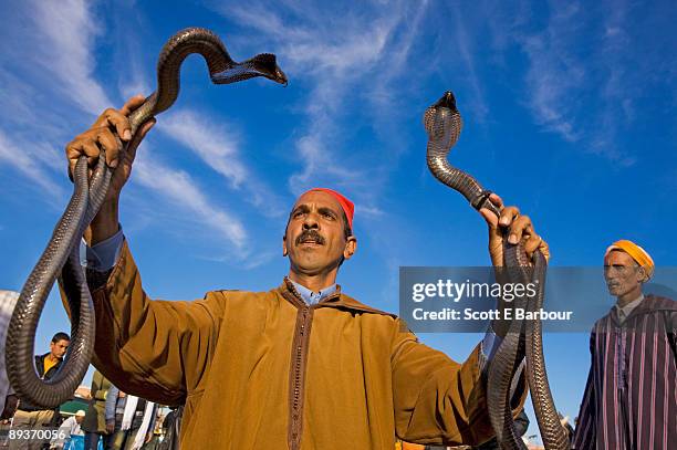 snake charmer holding two cobras. - snake charmer stock pictures, royalty-free photos & images