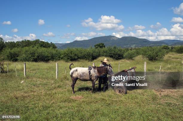 Farmer on November 8, 2017 in Vinales, Cuba.